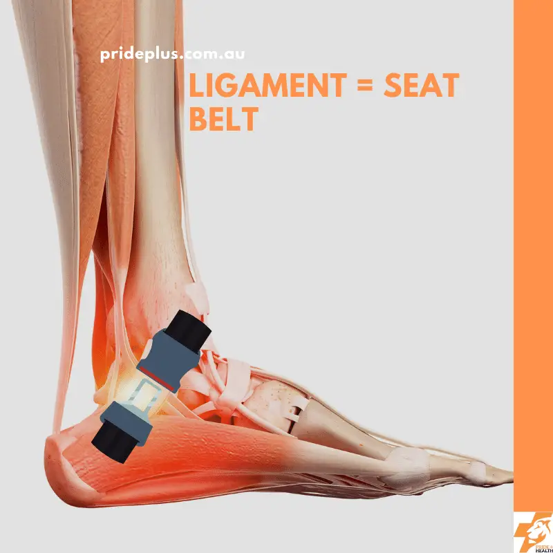 ankle ligament sprain and how to fix it