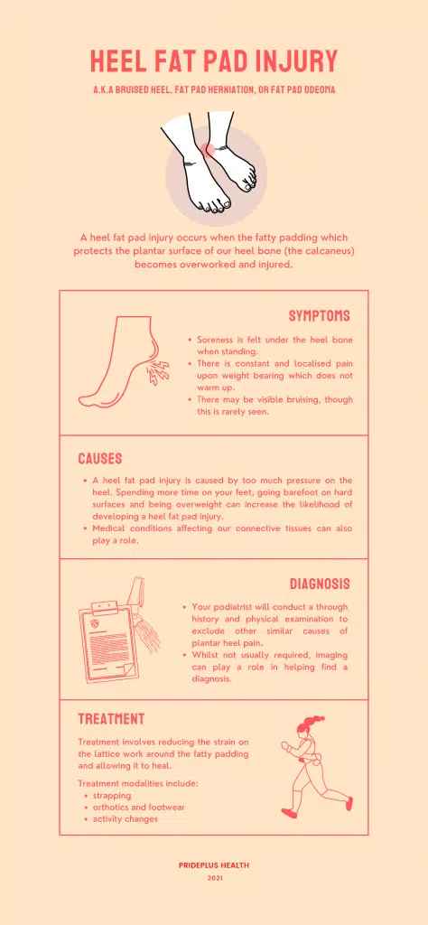 bruised heel or heel fat pad injury infographic from melbourne podiatrist