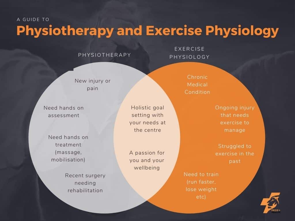 difference between a physiotherapist and an exercise physiologist venn diagram